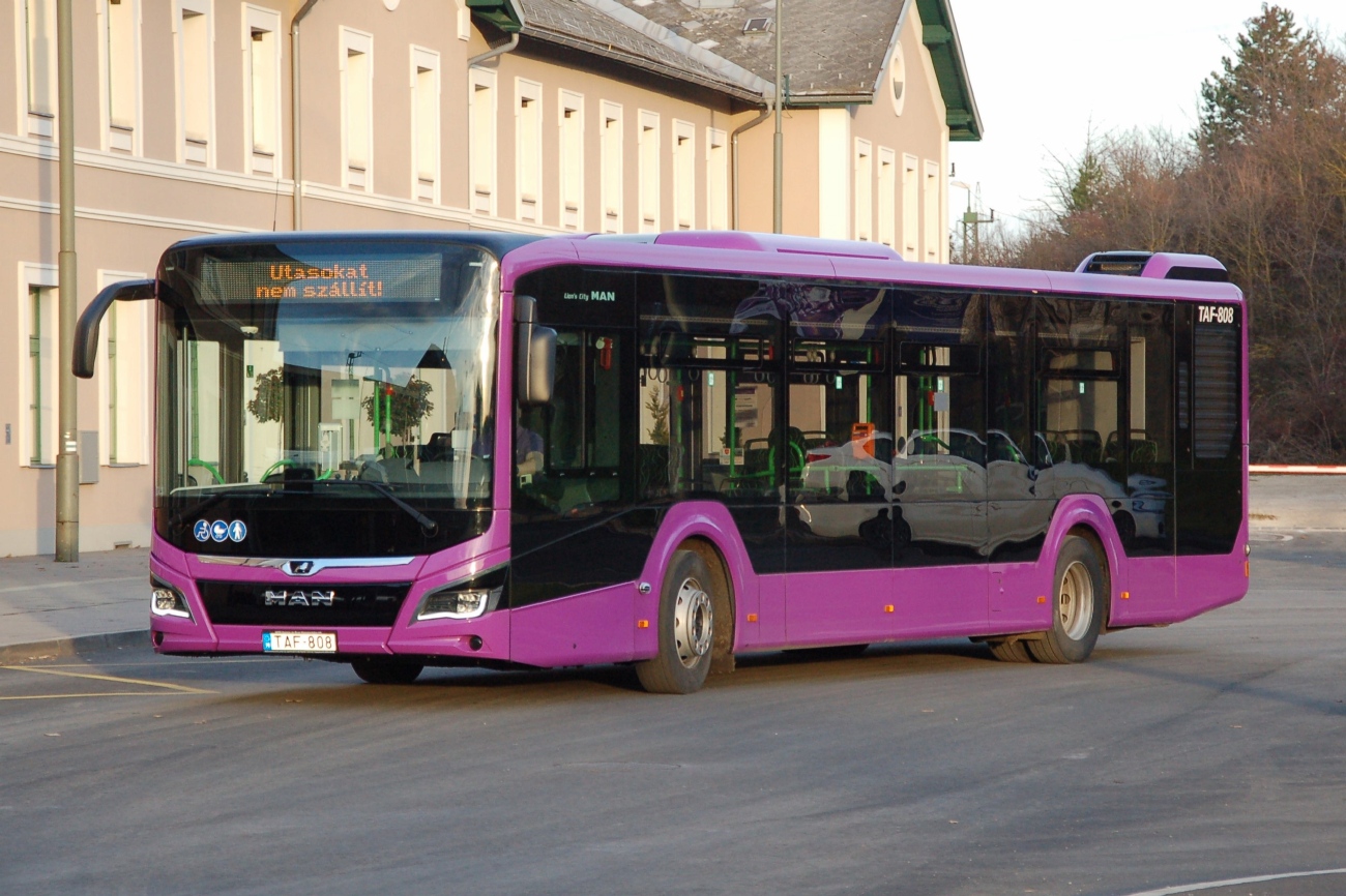 Венгрия, MAN 12C Lion's City 12 NL280 EfficientHybrid № TAF-808