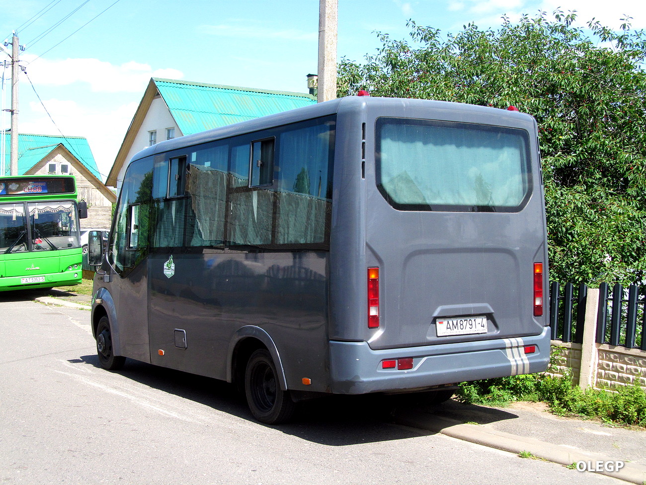 Гродненская область, ГАЗ-A62/A65/A66/A69 Next № АМ 8791-4