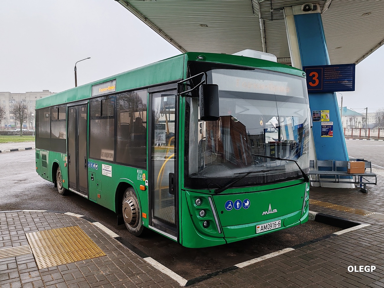 Могилёвская область, МАЗ-206.047 № 30527