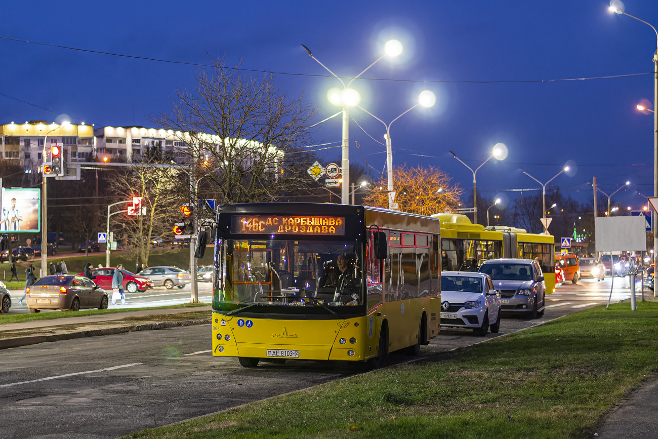 Минск, МАЗ-206.060 № 045063