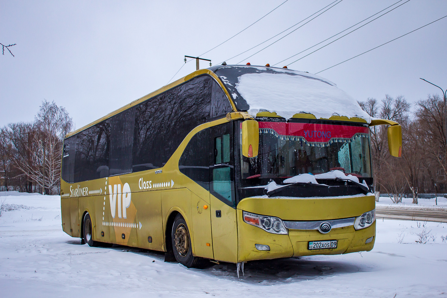 Диод выпрямительный 2д202в. Сайт 202. Диод 2д219б. Сайт 202. Тиристор 2у201в.