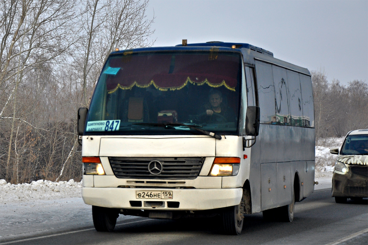 Алтайский край, Tomassini Medio № В 246 НЕ 159