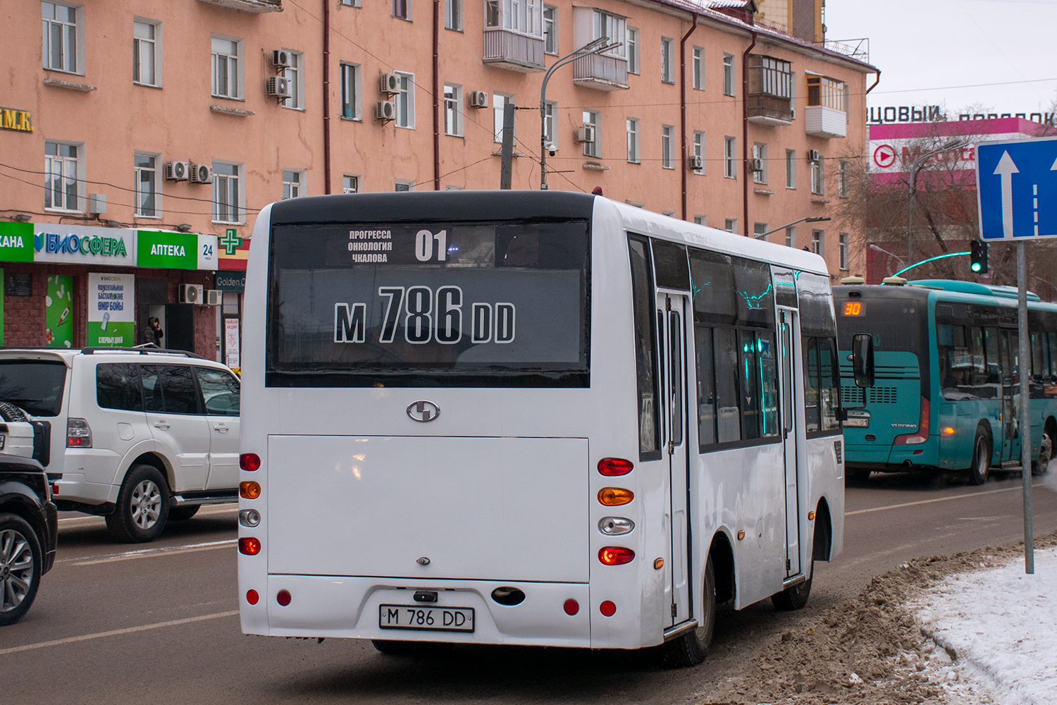 Карагандинская область, Shaolin SLG6660C3GE № M 786 DD