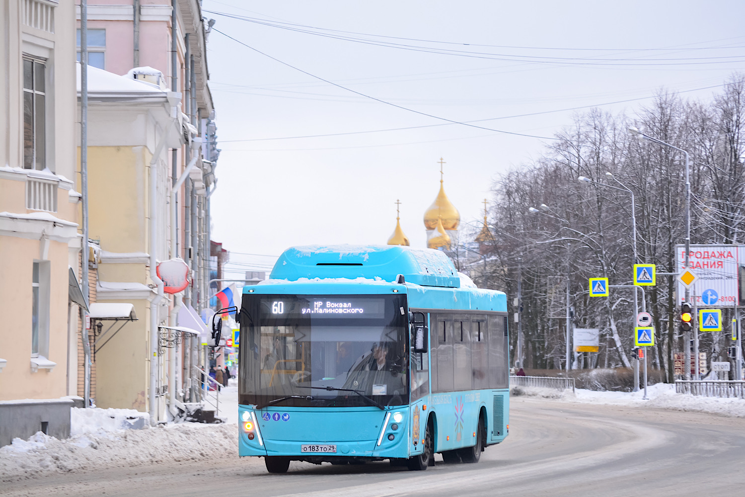 Архангельская область, МАЗ-206.948 № О 183 ТО 29