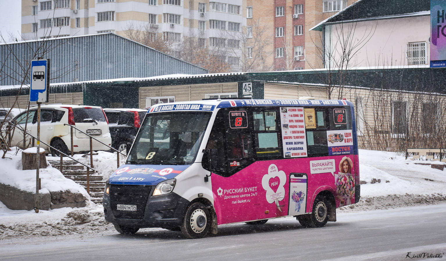 Новосибирская область, Луидор-2250DS (ГАЗ Next) № Н 884 ТМ 154