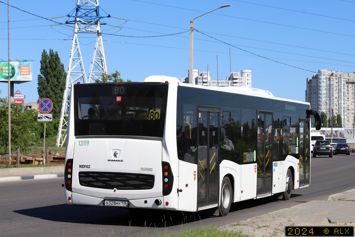 Voronezh region, NefAZ-5299-30-52 Nr. 13119