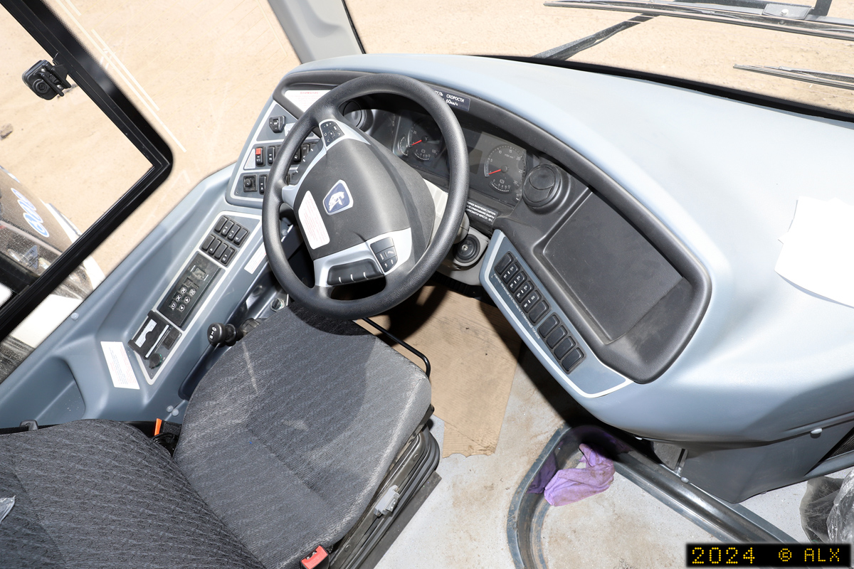 Воронежская область, НефАЗ-5299-30-52 № 13119