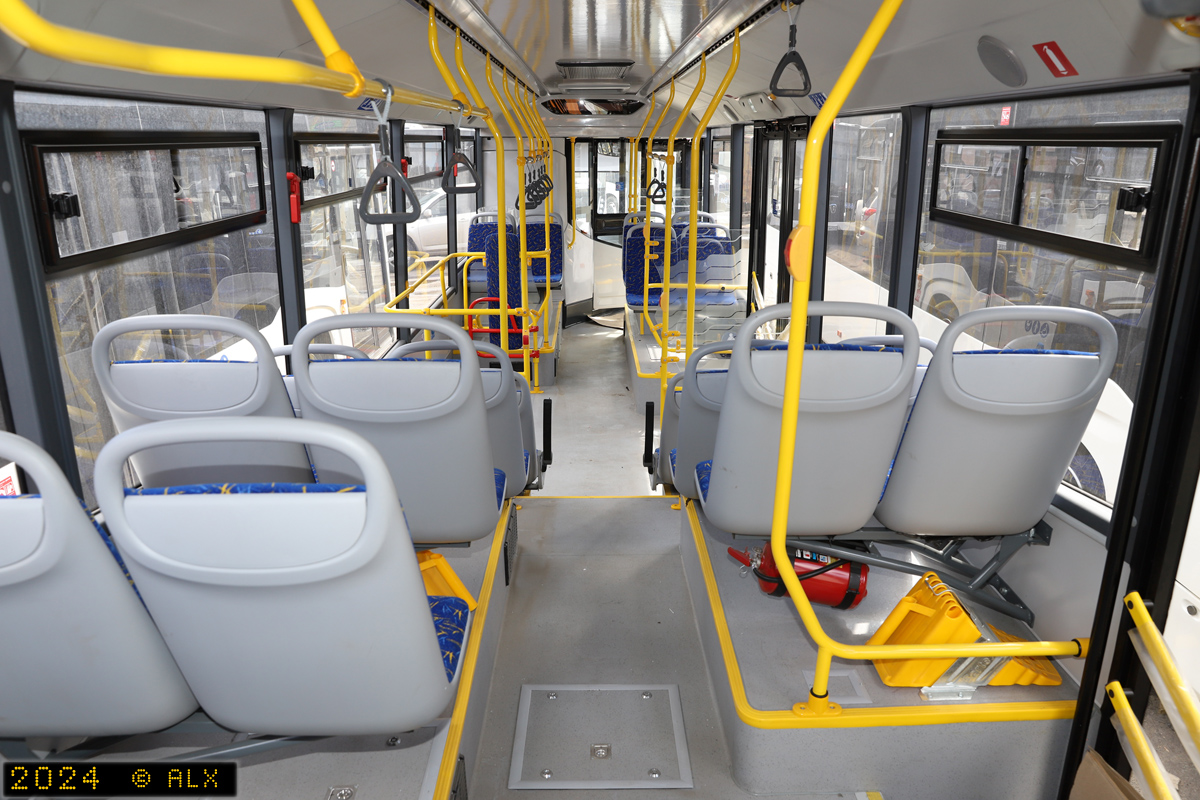 Voronezh region, NefAZ-5299-30-52 Nr. 13119