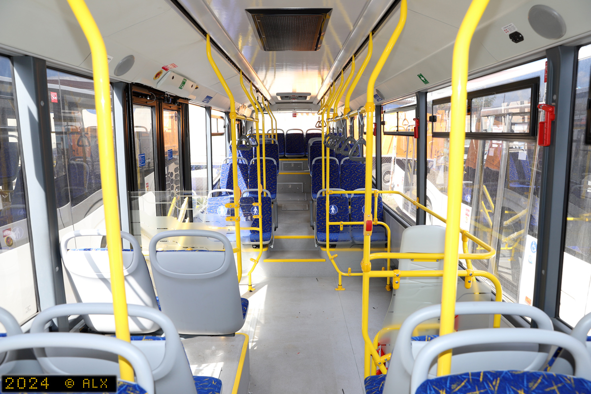 Воронежская область, НефАЗ-5299-30-52 № 13119