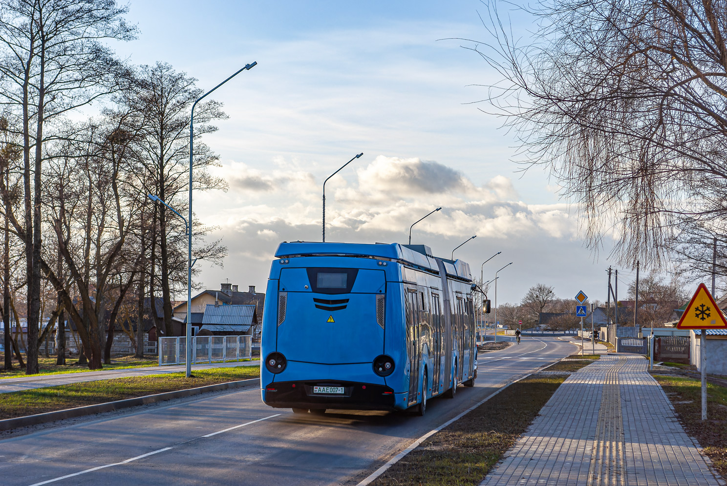 Брестская область, E433 Vitovt Max Electro II № АА Е007-1