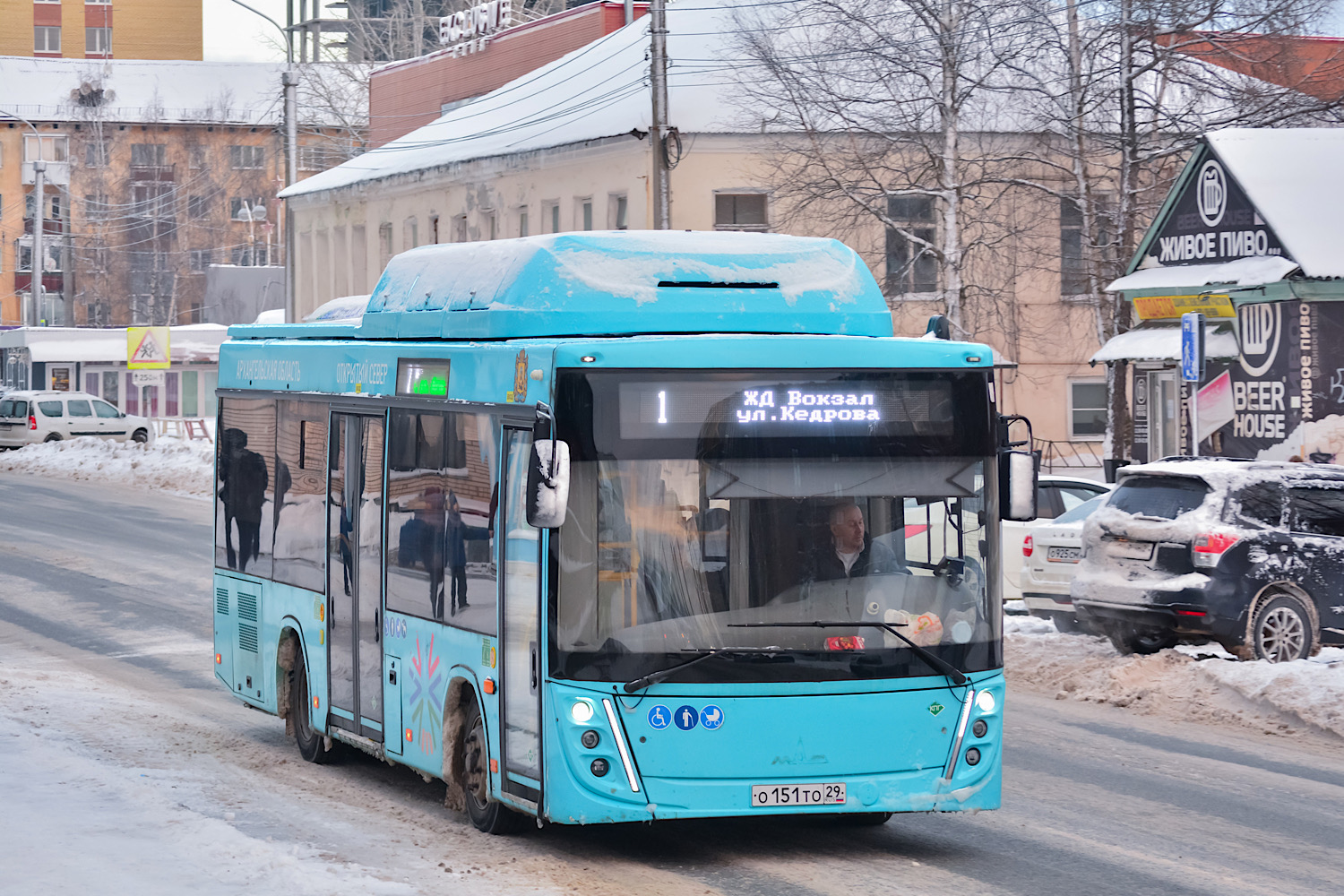 Архангельская область, МАЗ-206.948 № О 151 ТО 29