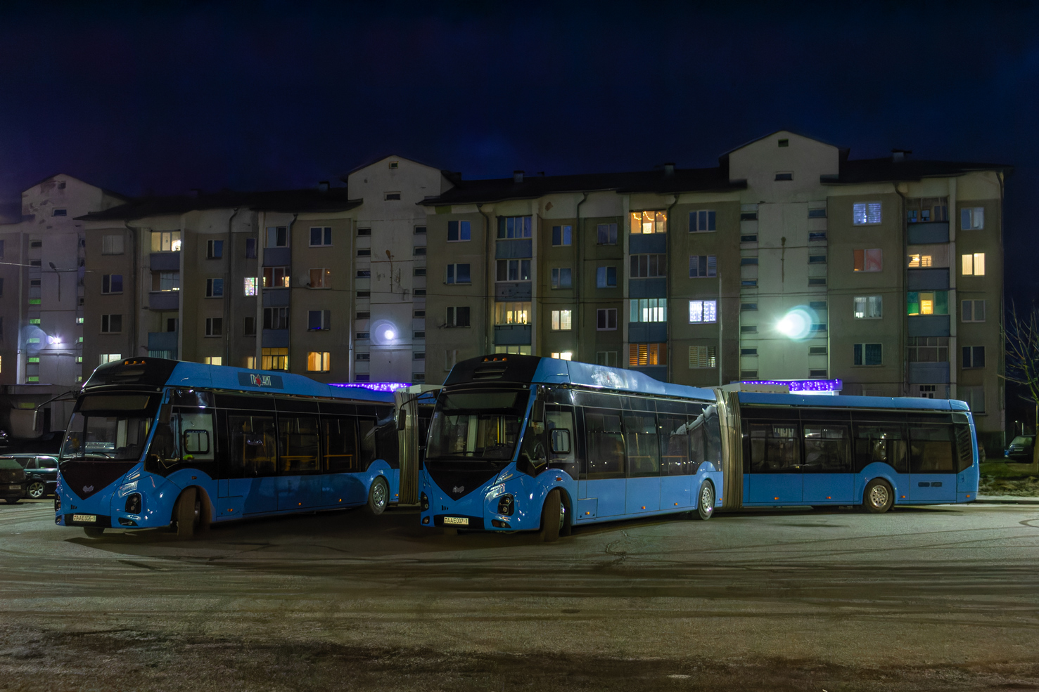 Брестская область, E433 Vitovt Max Electro II № АА Е007-1