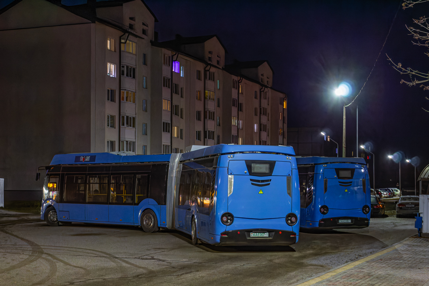 Брестская область, E433 Vitovt Max Electro II № АА Е007-1