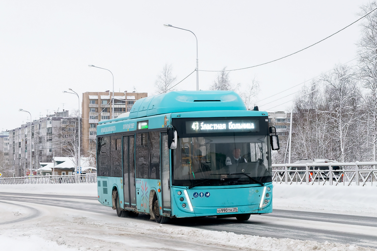 Архангельская область, МАЗ-206.948 № О 990 ТК 29