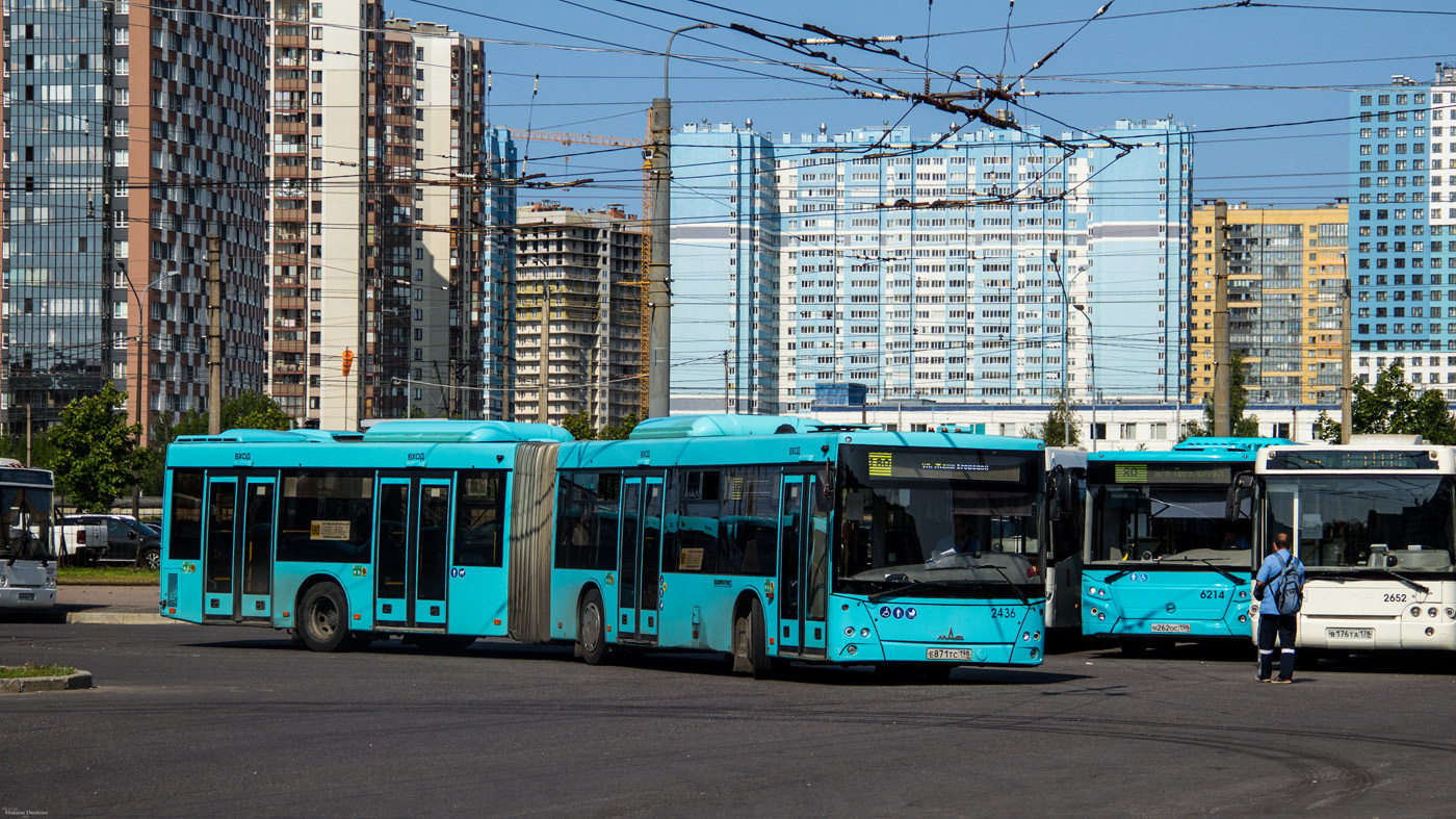 Saint Petersburg, MAZ-216.066 № 2436