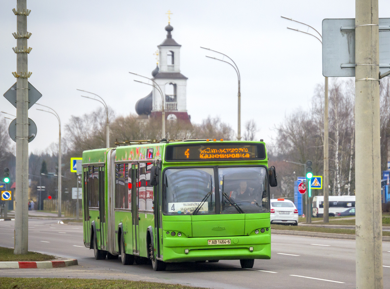 Могилёвская область, МАЗ-105.465 № 1049