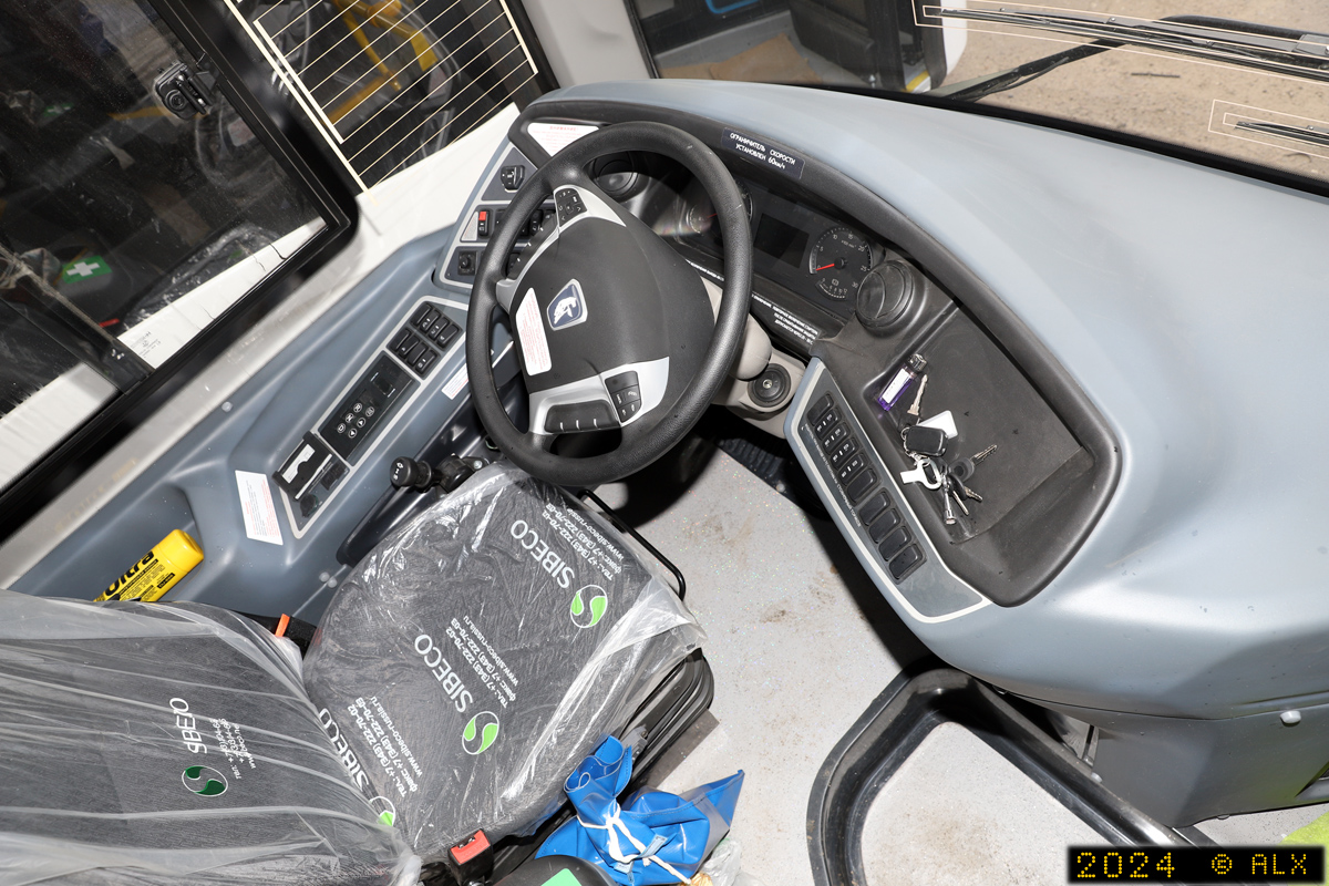 Воронежская область, НефАЗ-5299-30-52 № 13112