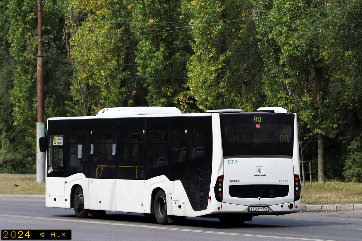 Voronezh region, NefAZ-5299-30-52 Nr. 13119