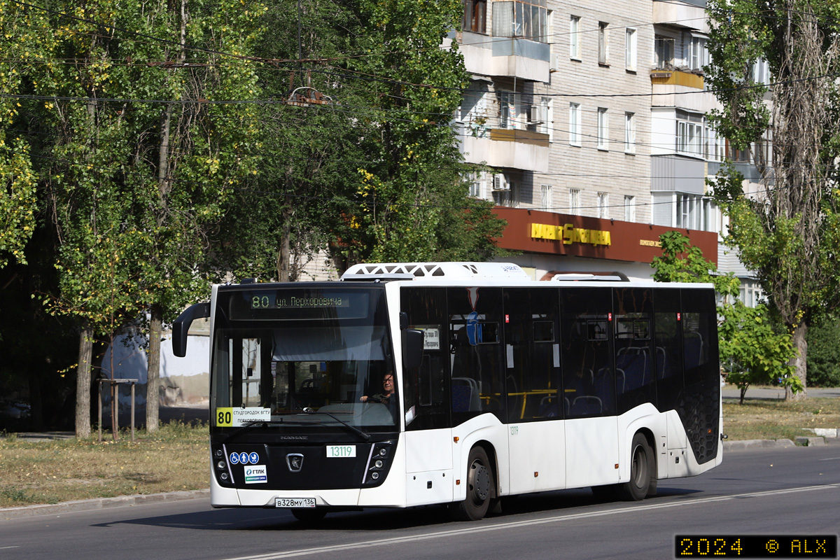 Voronezh region, NefAZ-5299-30-52 Nr. 13119