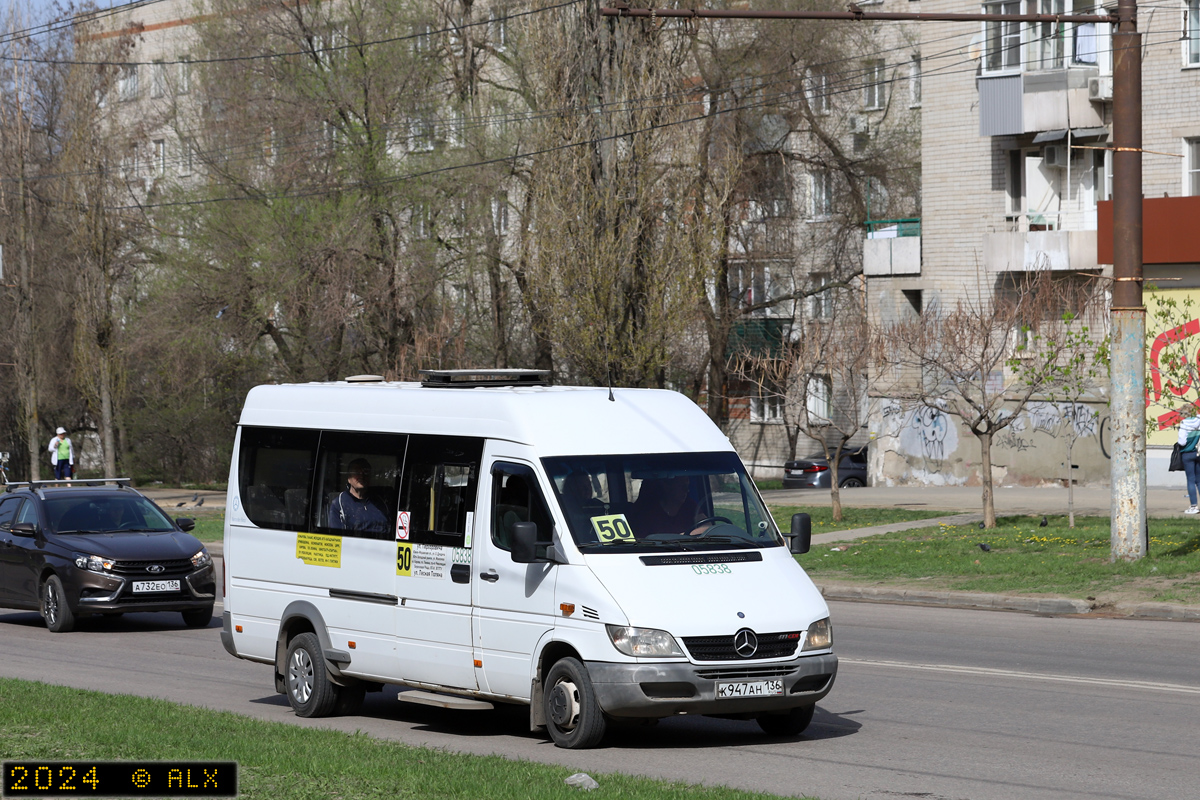 Воронежская область, Луидор-223201 (MB Sprinter Classic) № 05838