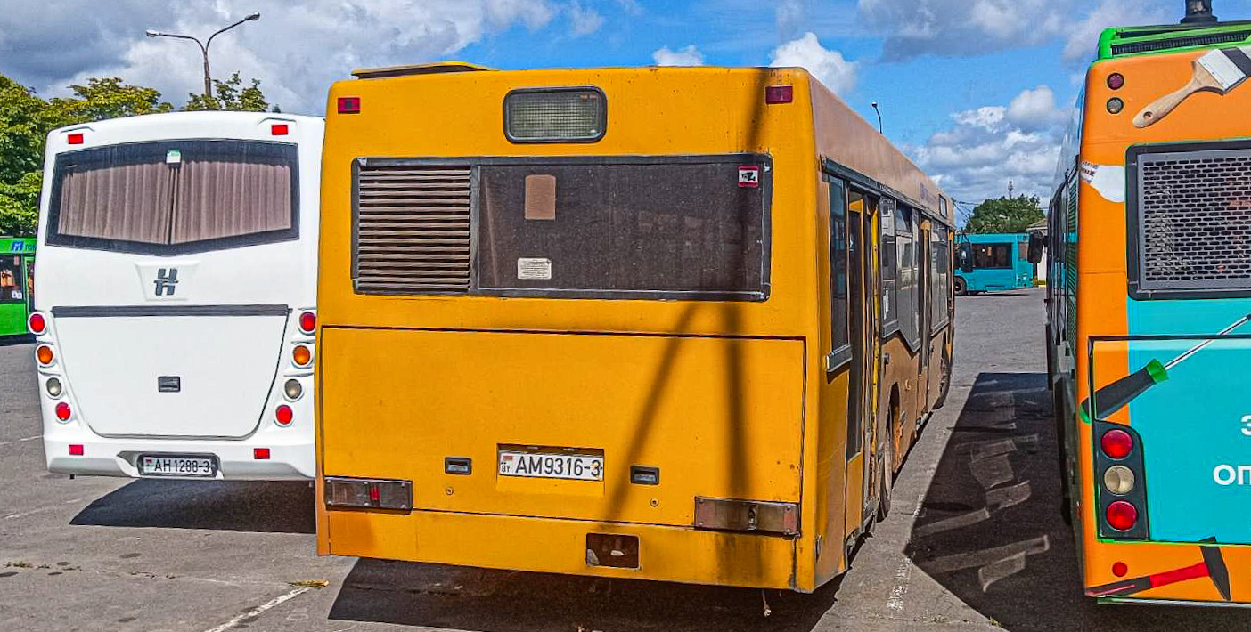 Гомельская область, МАЗ-103.065 № 014450; Гомельская область, МАЗ-103.486 № 014397