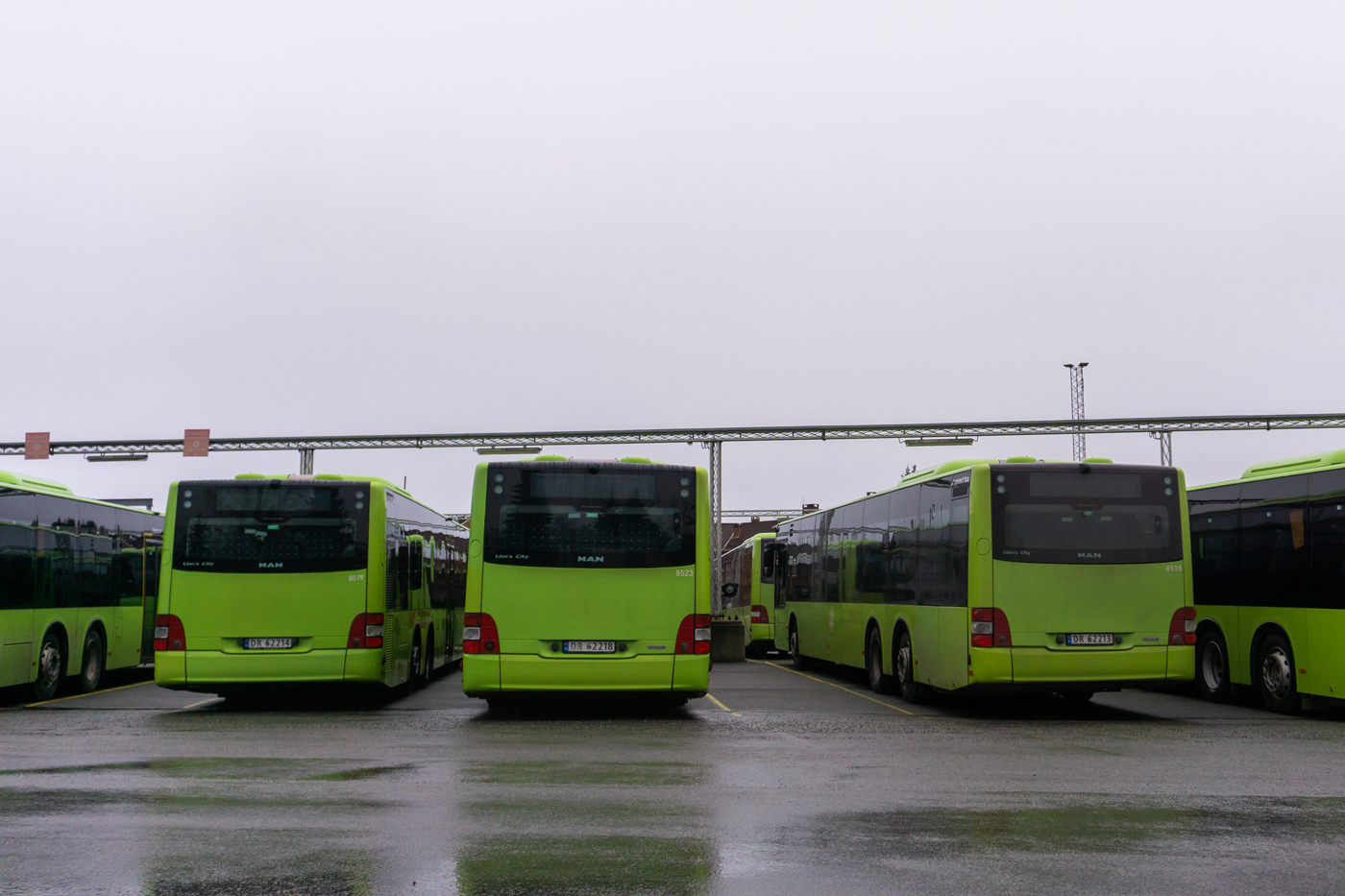 Норвегия, MAN A44 Lion's City L LE NL363-15 № 8519; Норвегия, MAN A44 Lion's City L LE NL363-15 № 8523; Норвегия, MAN A44 Lion's City L LE NL363-15 № 8518