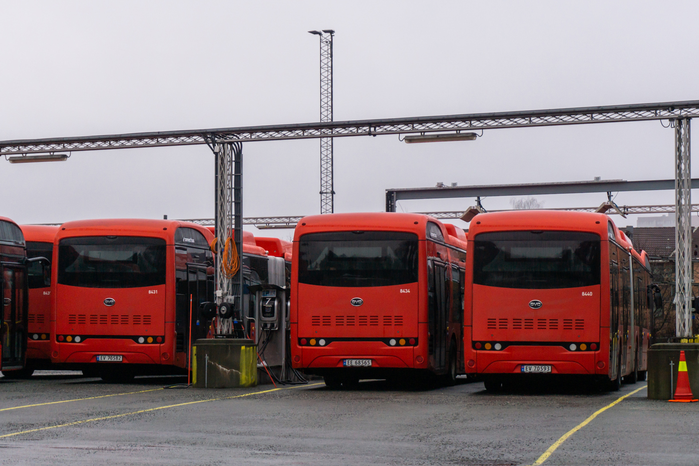 Норвегия, BYD K11U № 8440