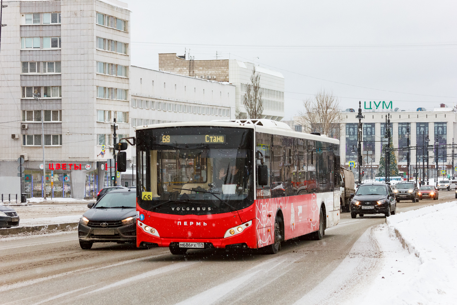 Пермский край, Volgabus-5270.02 № М 686 РХ 159