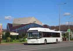 Краснодар транс фотосуреттері