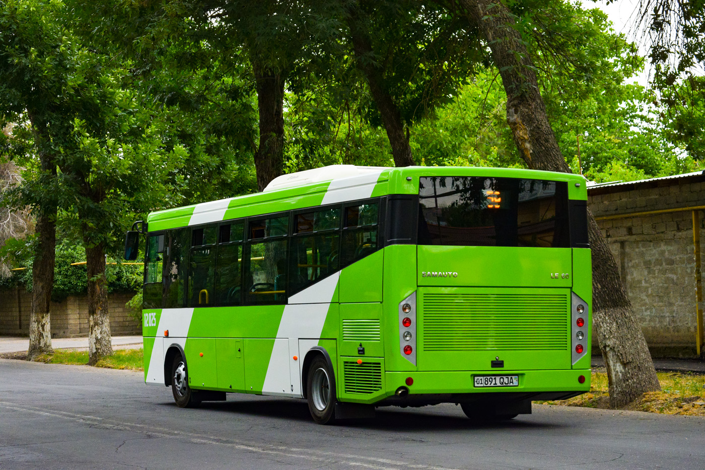 Узбекистан, SAZ LE60 № 12025