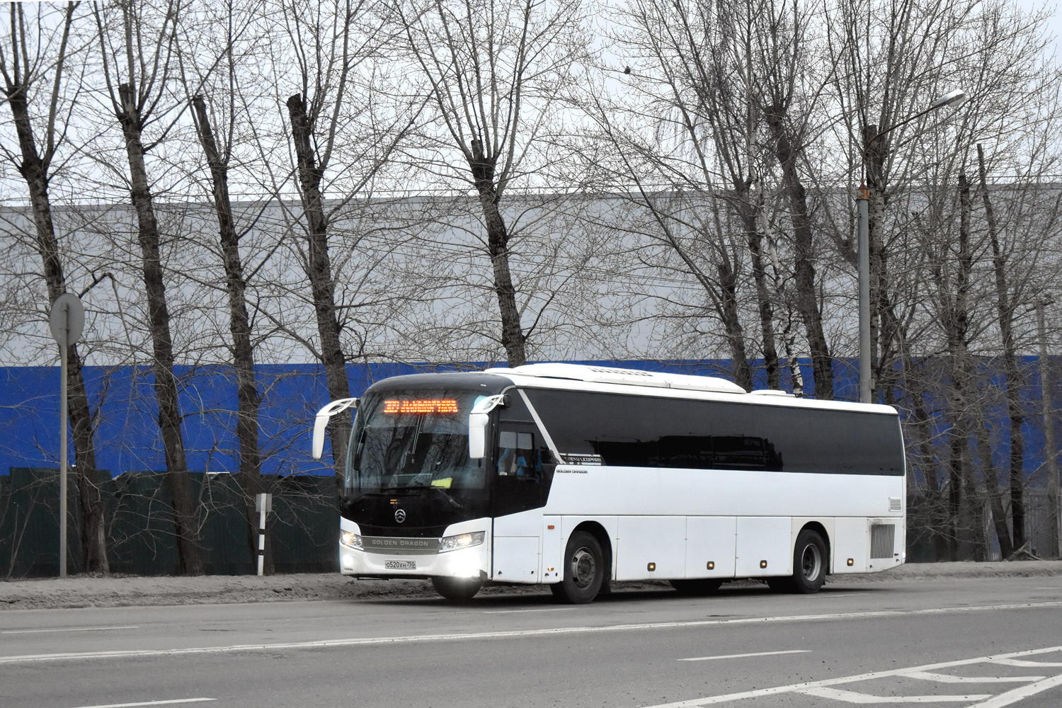Московская область, Golden Dragon XML6127JR Snow Leopard № 066199