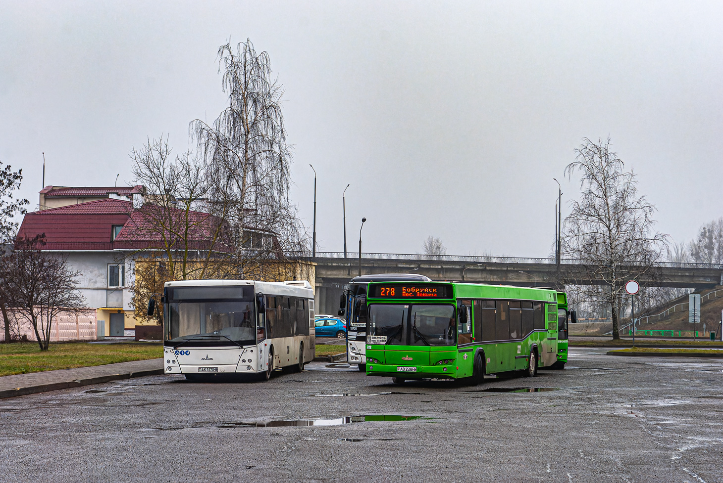 Могилёвская область, МАЗ-203.016 № 288; Могилёвская область, МАЗ-103.465 № 322
