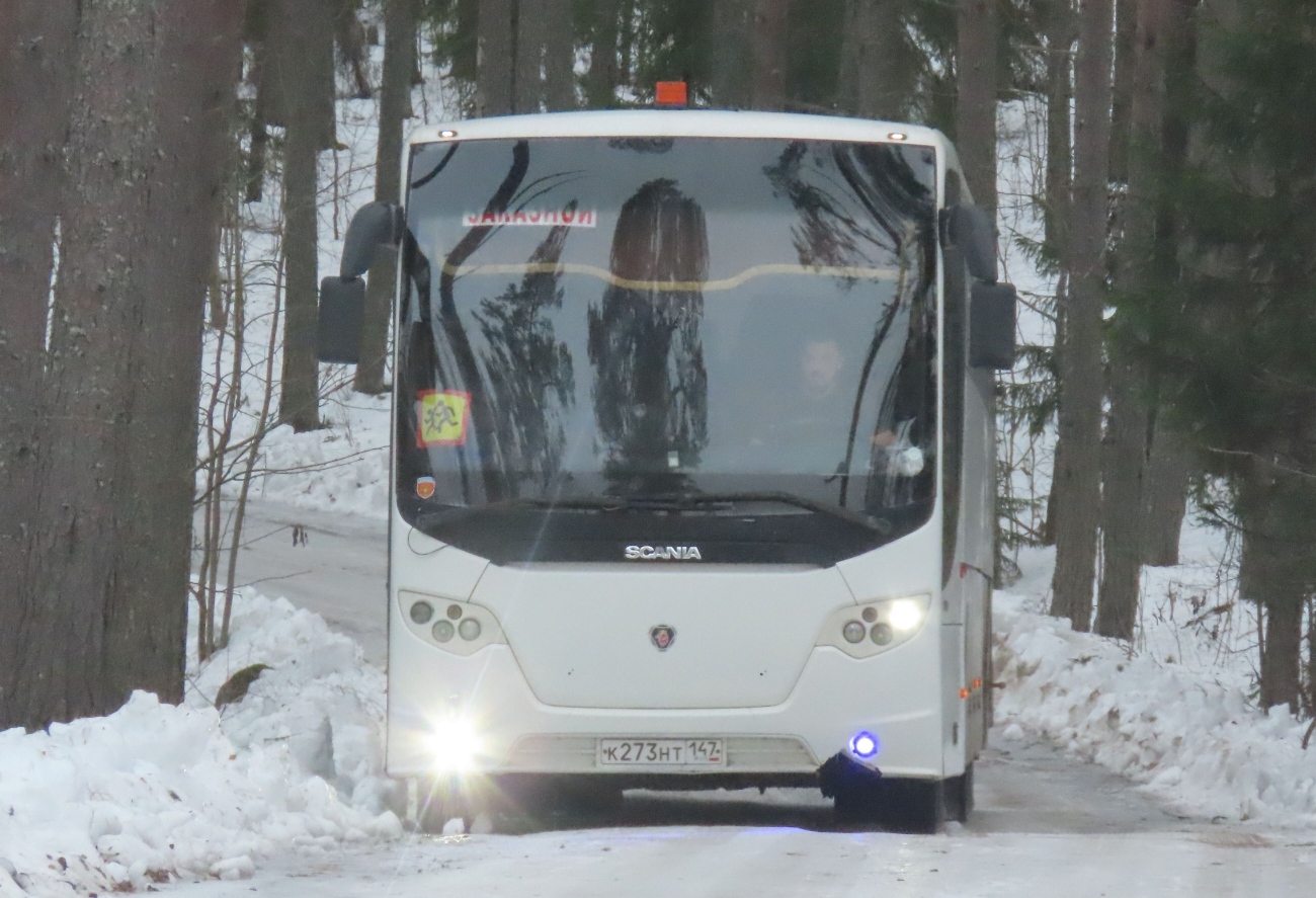Санкт-Петербург, Scania OmniExpress 340 № К 273 НТ 147