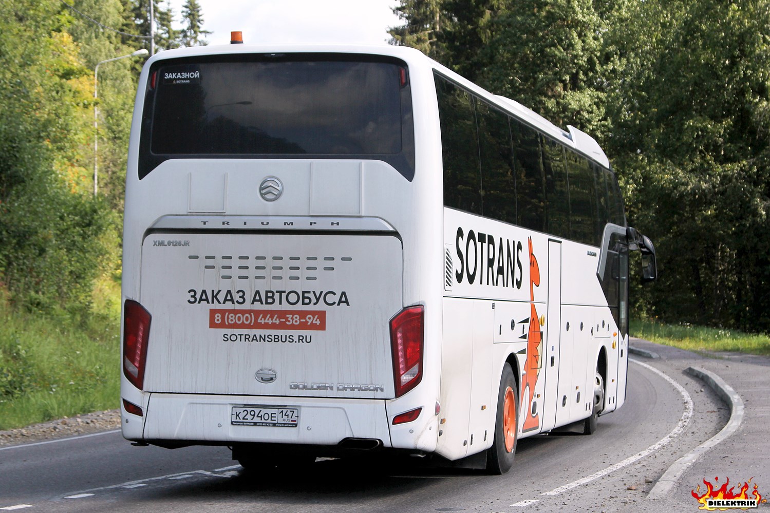 Ленинградская область, Golden Dragon XML6126JR Triumph № К 294 ОЕ 147 Ленинградская область, Golden Dragon XML6126JR Triumph № К 294 ОЕ 147