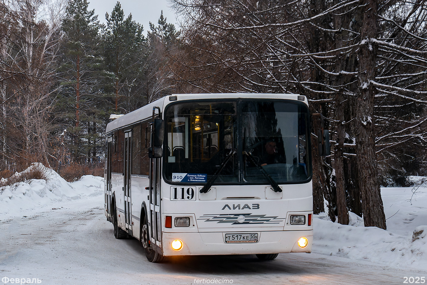 Омская область, ЛиАЗ-5256.60 № 119