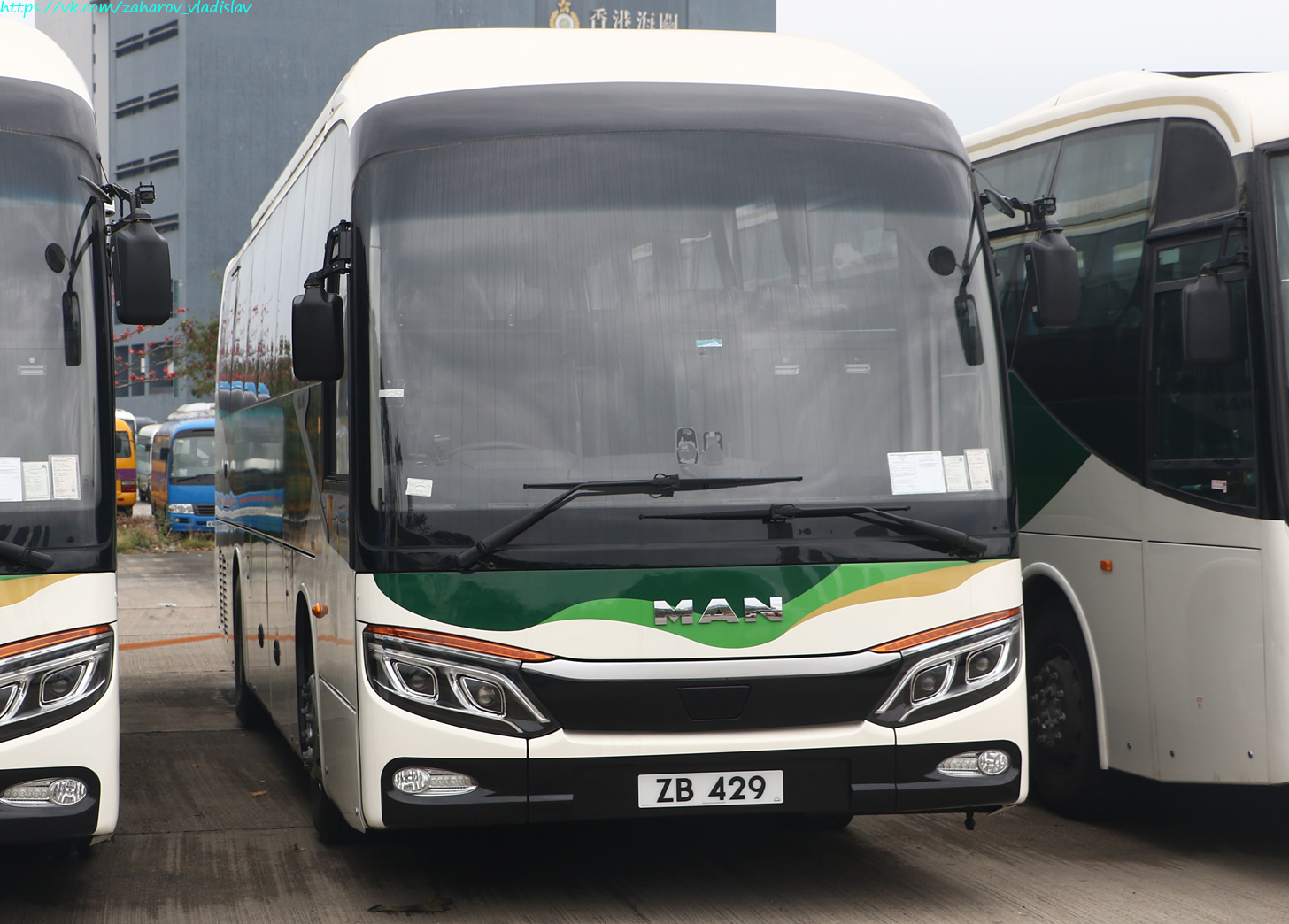 Гонконг, King Long XMQ6127 (Hong Kong) № ZB 429 Гонконг, King Long XMQ6127 (Hong Kong) № ZB 429