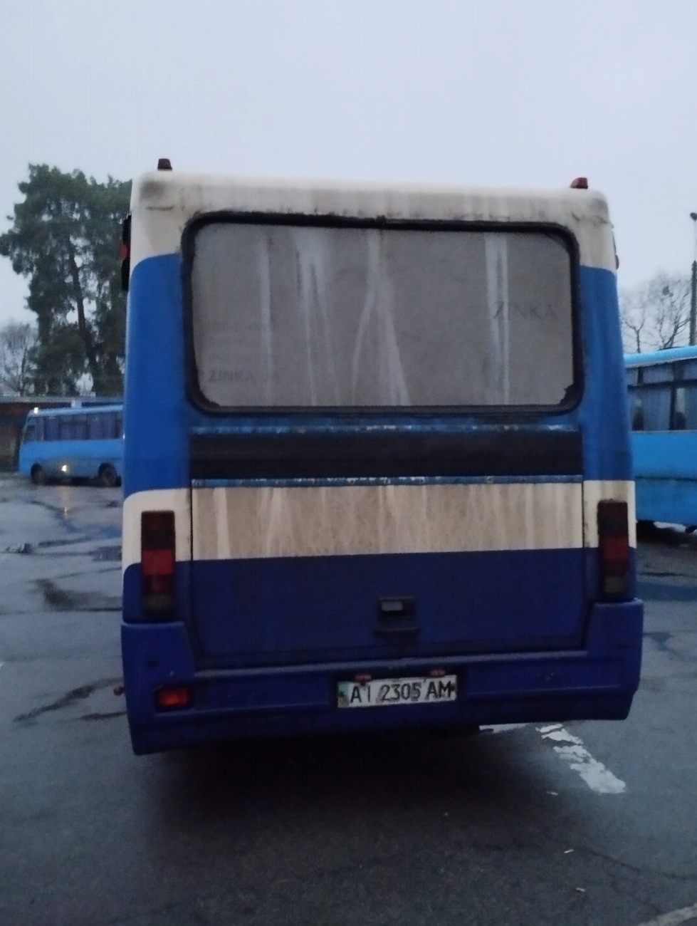 Киевская область, БАЗ-А079.24 "Мальва" № AI 2305 AM