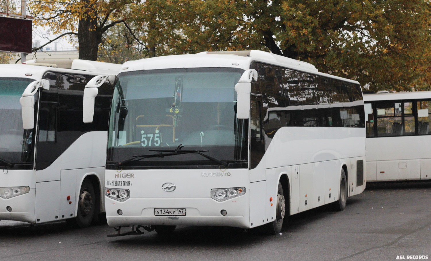 Ленинградская область, Higer KLQ6129TQL № А 134 КУ 147