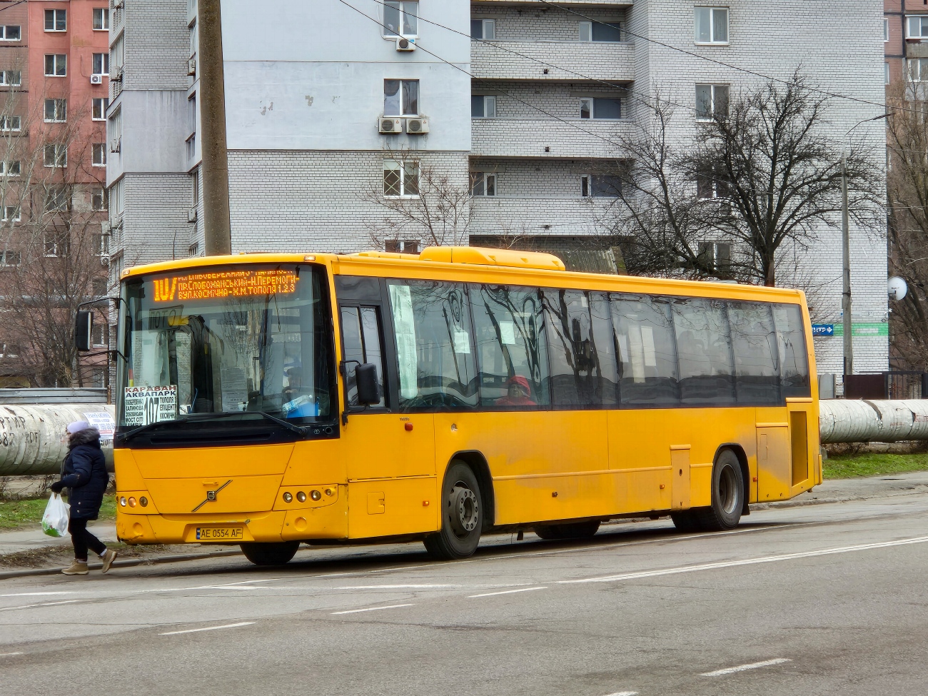 Днепропетровская область, Volvo 8700LE № AE 0554 AF