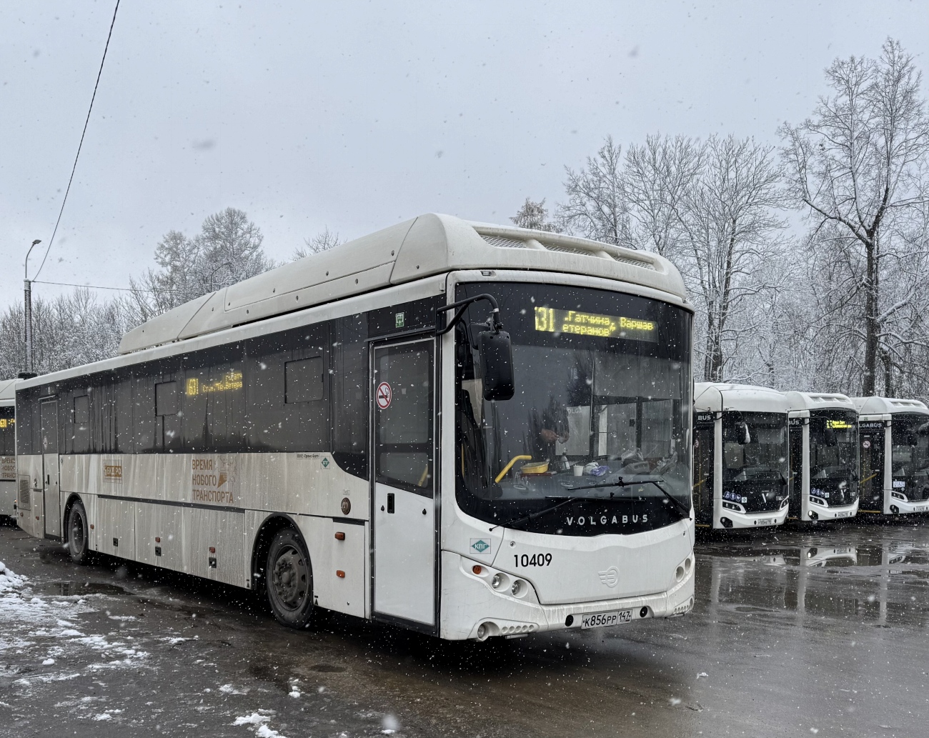 Ленинградская область, Volgabus-5285.G4 № 10409