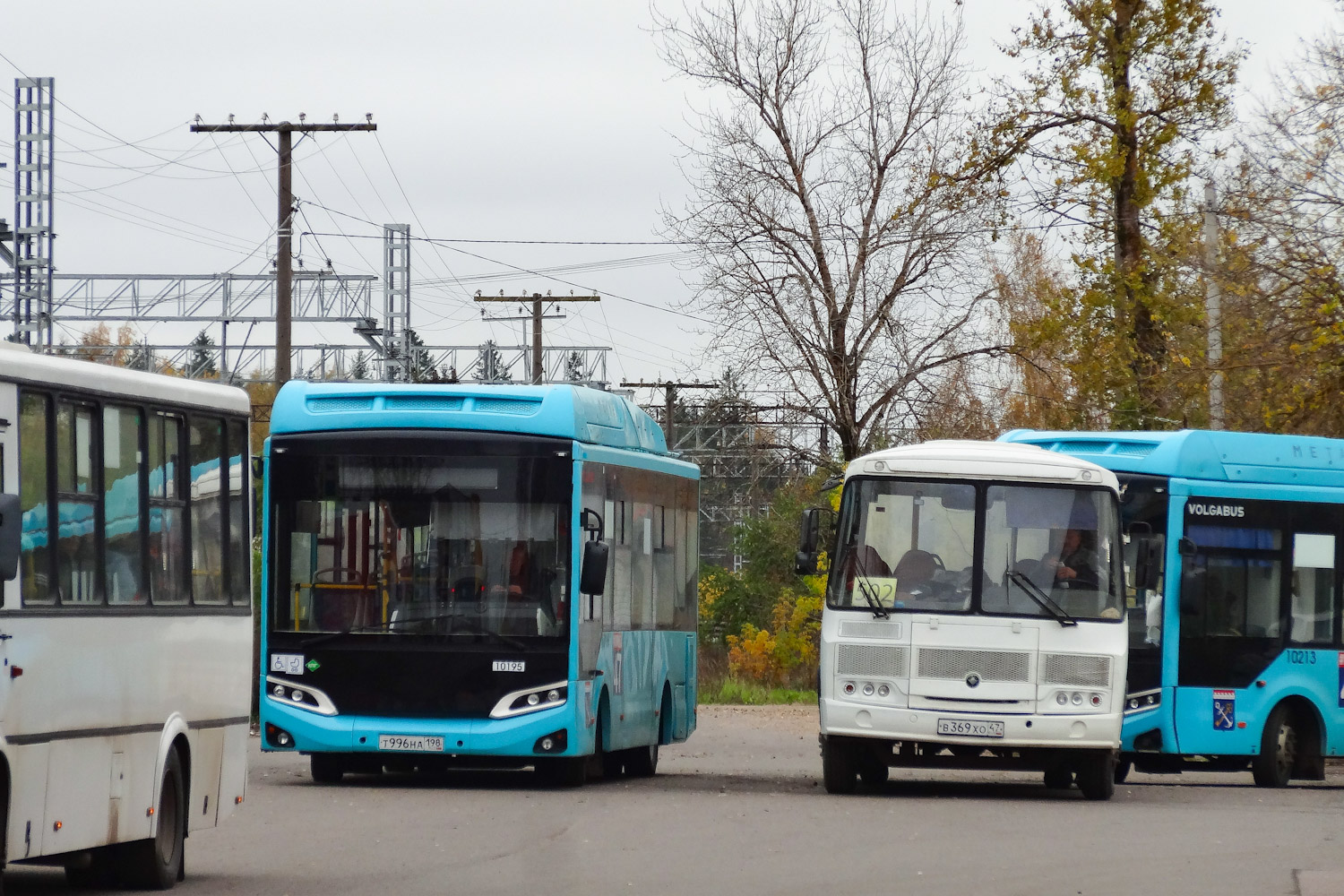 Ленинградская область, Volgabus-4298.G4 (CNG) № 10195; Ленинградская область, ПАЗ-4234-05 № 5855