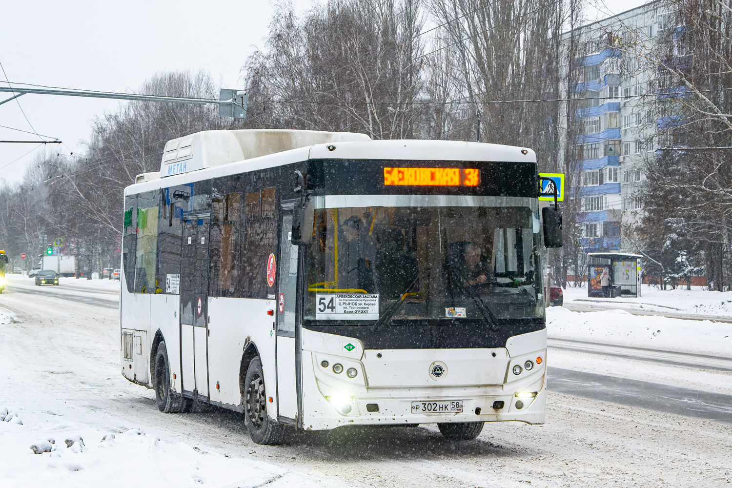 Пензенская область, КАвЗ-4270-70 № Р 302 НК 58