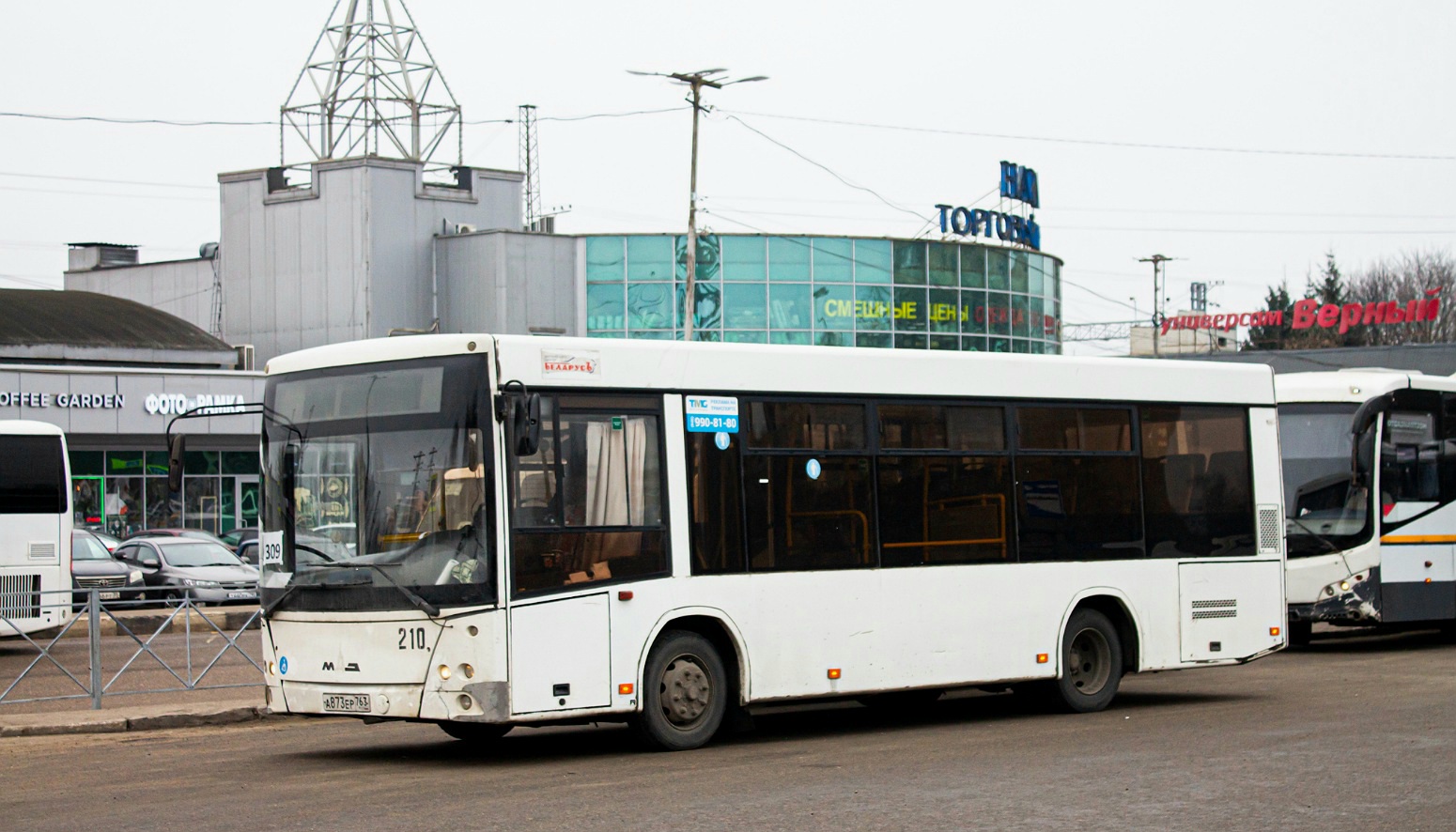 Московская область, МАЗ-206.086 № 066238