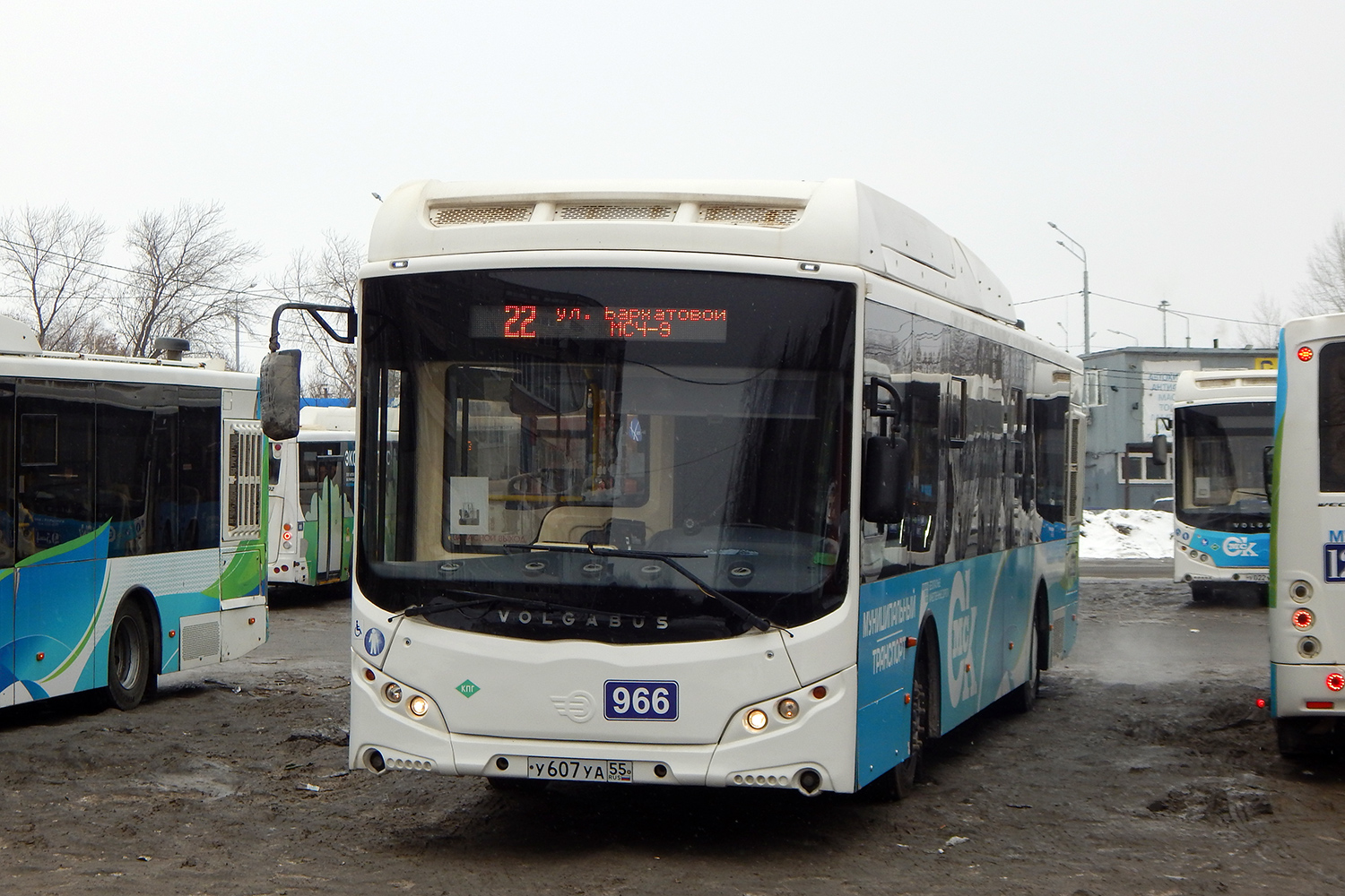 Омская область, Volgabus-5270.G2 (CNG) № 966