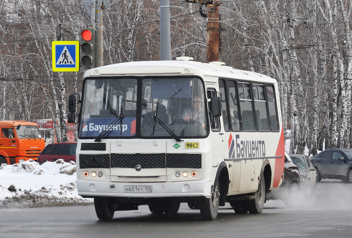 Омская область, ПАЗ-320530-02 № 9012