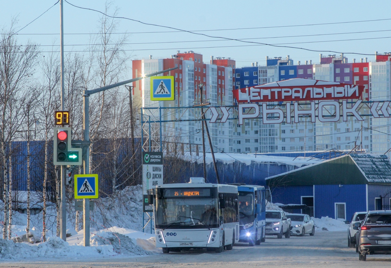 Ханты-Мансийский АО, МАЗ-206.047 № М 993 НЕ 186; Ханты-Мансийский АО, ПАЗ-320435-04 "Vector Next" № 0318