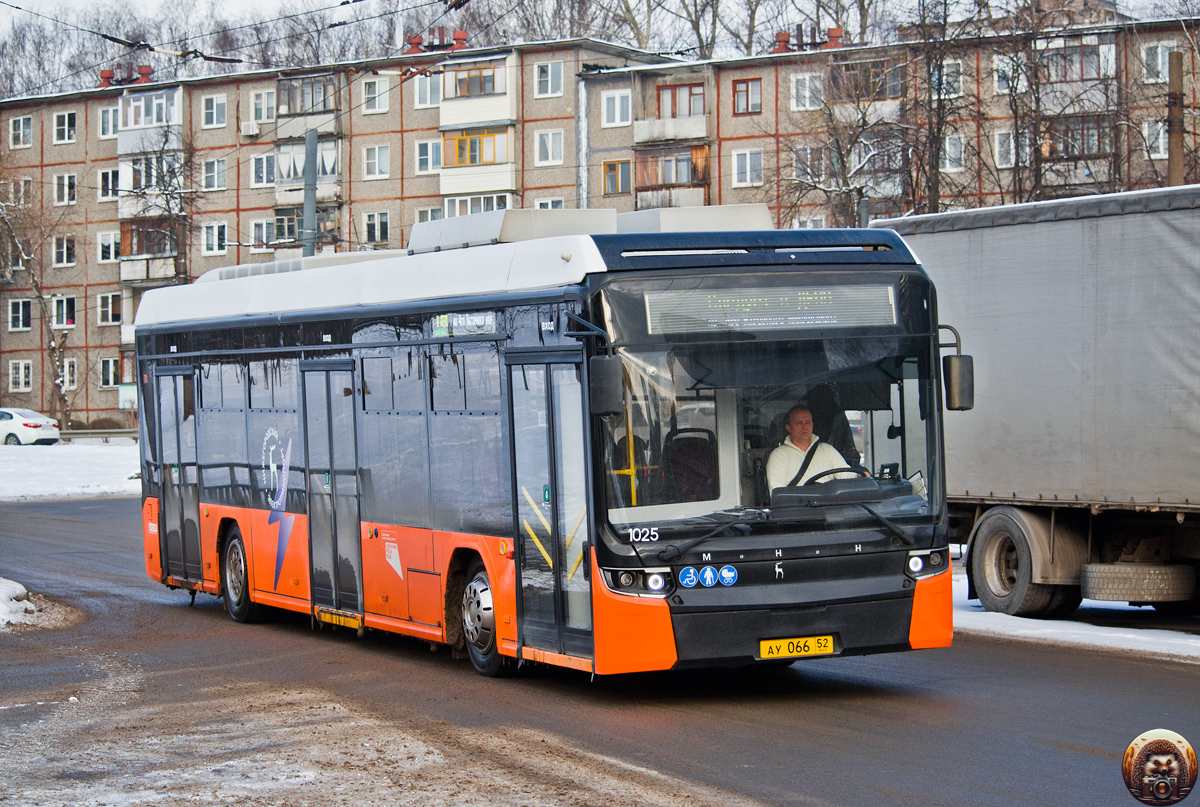 Нижегородская область, Нижэкотранс-6256 (БКМ-Е450) № 1025