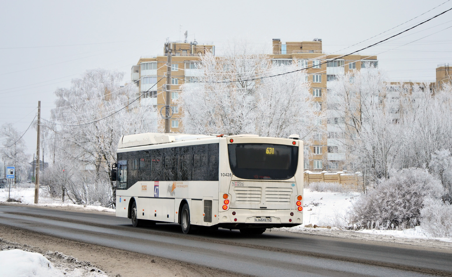 Ленинградская область, Volgabus-5285.G4 № 10428