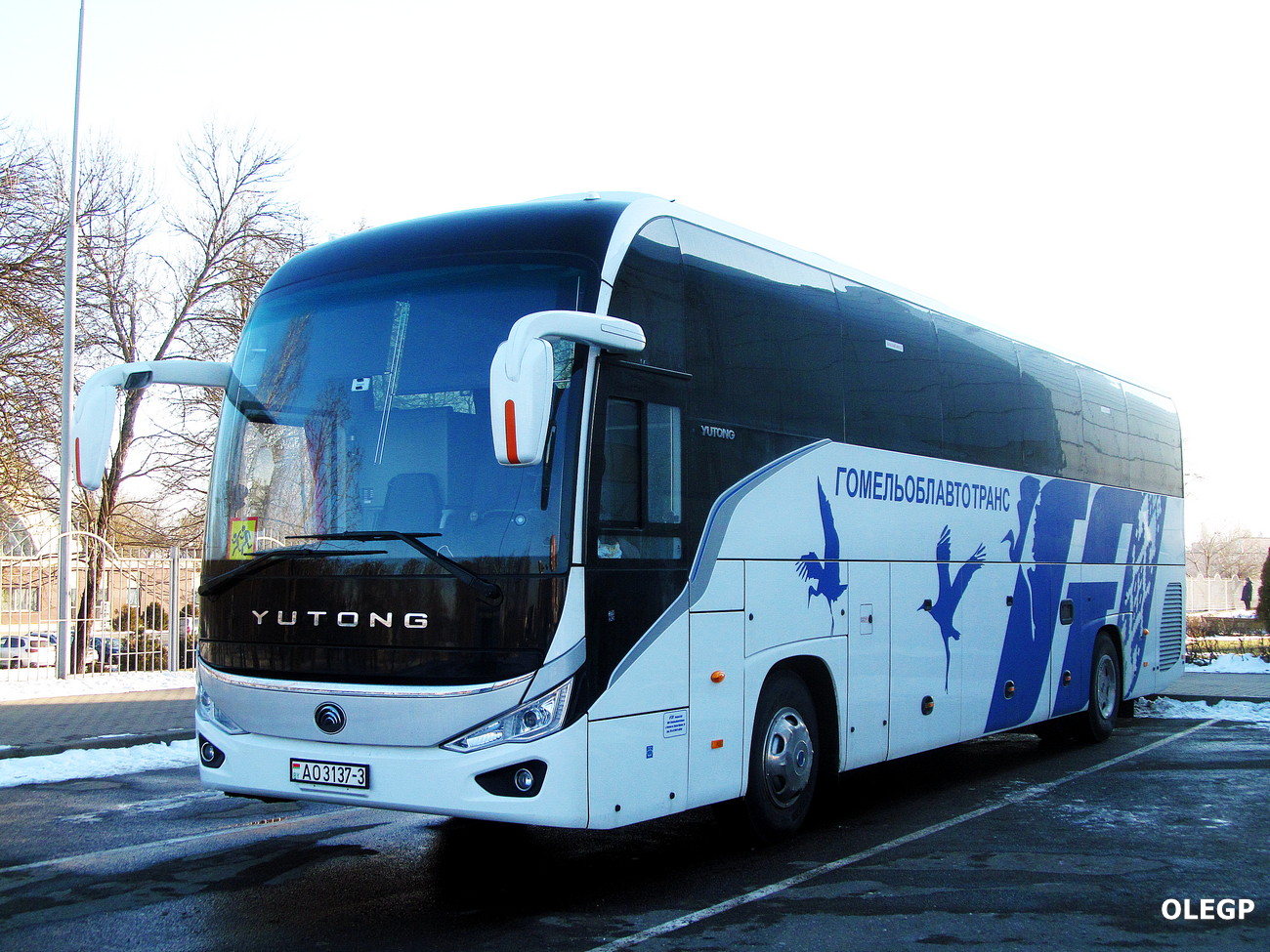 Гомельская область, Yutong C12PRO (ZK6128H) № АО 3137-3