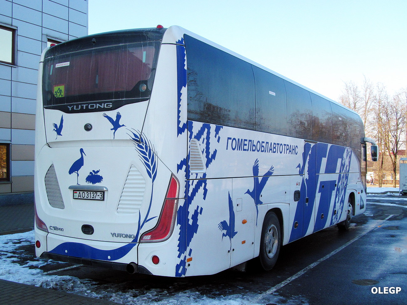 Гомельская область, Yutong C12PRO (ZK6128H) № АО 3137-3